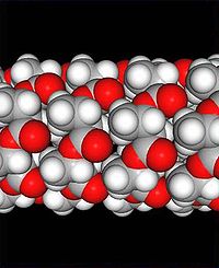 section d'un filament de poly-β-hydroxybutyrate enroulé