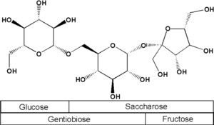Structure chimique du gentianose.