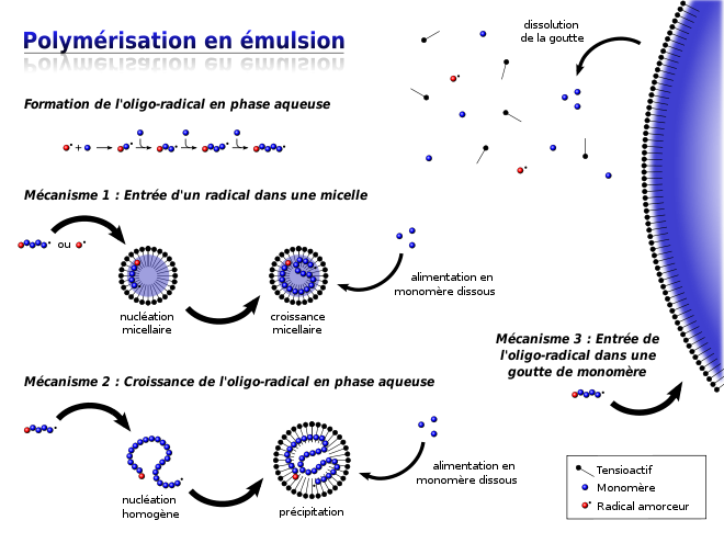 Schéma décrivant les trois mécanismes réactionnels pouvant avoir lieu au cours d'une polymérisation par émulsion : micellaire, homogène, en goutte.